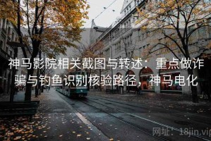 神马影院相关截图与转述：重点做诈骗与钓鱼识别核验路径，神马电化