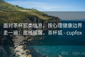 面对茶杯狐类信息，按心理健康边界走一遍：底线提醒，茶杯狐 - cupfox