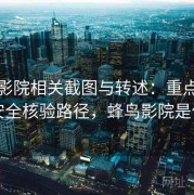 蜂鸟影院相关截图与转述：重点做账号安全核验路径，蜂鸟影院是什么