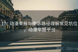 17c 动漫举报与申诉路径理解常见坑位，动漫举报平台