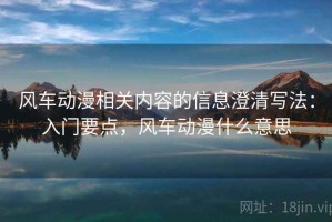 风车动漫相关内容的信息澄清写法：入门要点，风车动漫什么意思