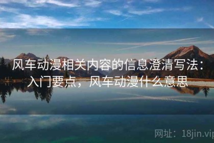 风车动漫相关内容的信息澄清写法：入门要点，风车动漫什么意思