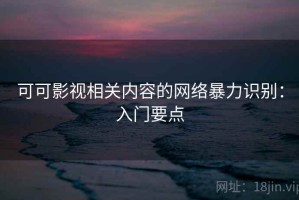 可可影视相关内容的网络暴力识别：入门要点