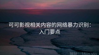 可可影视相关内容的网络暴力识别：入门要点