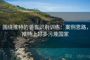 围绕推特的谣言识别训练：案例思路，推特上好多污蔑国家