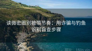 读微密圈别被带节奏：用诈骗与钓鱼识别自查步骤