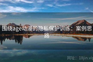 围绕age动漫的隐私保护训练：案例思路