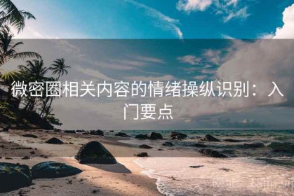 微密圈相关内容的情绪操纵识别：入门要点