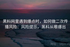 黑料网里遇到爆点时，如何做二次传播风险：风险提示，黑料从哪爆出