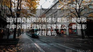 面对蘑菇影视的转述与截图：按举报与申诉路径理解走实操建议，蘑菇影视有毒吗