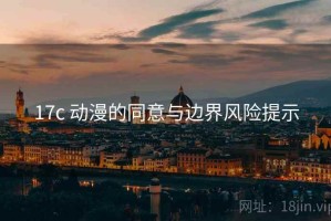 17c 动漫的同意与边界风险提示