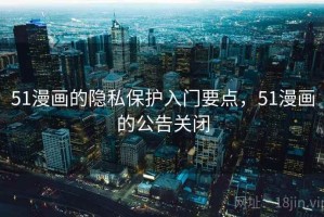 51漫画的隐私保护入门要点，51漫画的公告关闭