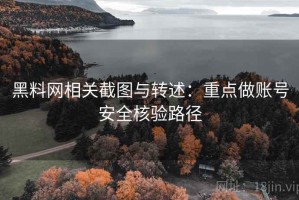 黑料网相关截图与转述：重点做账号安全核验路径