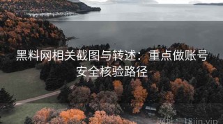 黑料网相关截图与转述：重点做账号安全核验路径