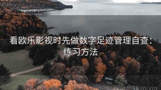 看欧乐影视时先做数字足迹管理自查：练习方法