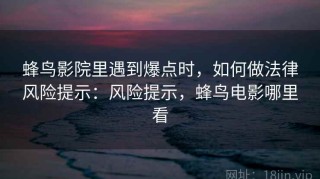 蜂鸟影院里遇到爆点时，如何做法律风险提示：风险提示，蜂鸟电影哪里看