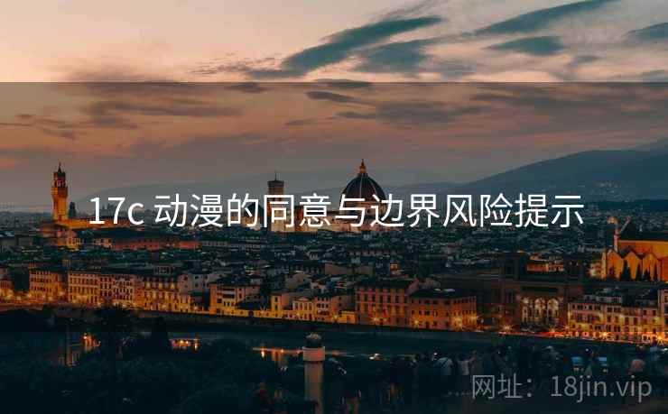 17c 动漫的同意与边界风险提示
