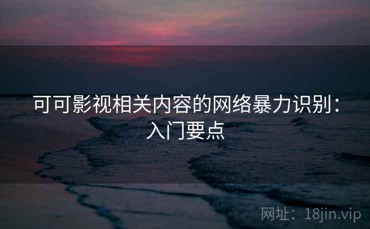 可可影视相关内容的网络暴力识别：入门要点