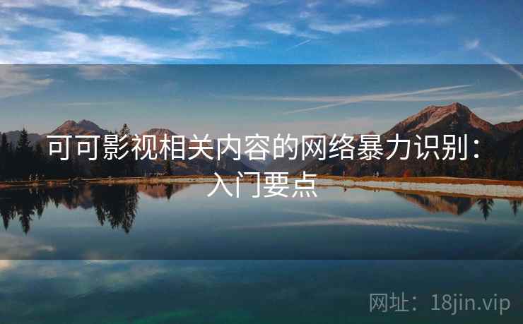 可可影视相关内容的网络暴力识别：入门要点