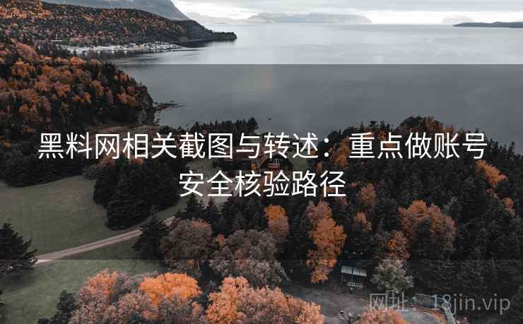 黑料网相关截图与转述：重点做账号安全核验路径