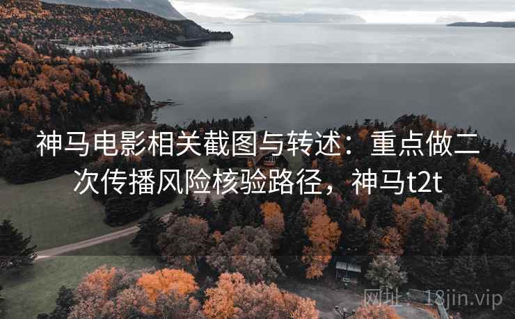 神马电影相关截图与转述：重点做二次传播风险核验路径，神马t2t